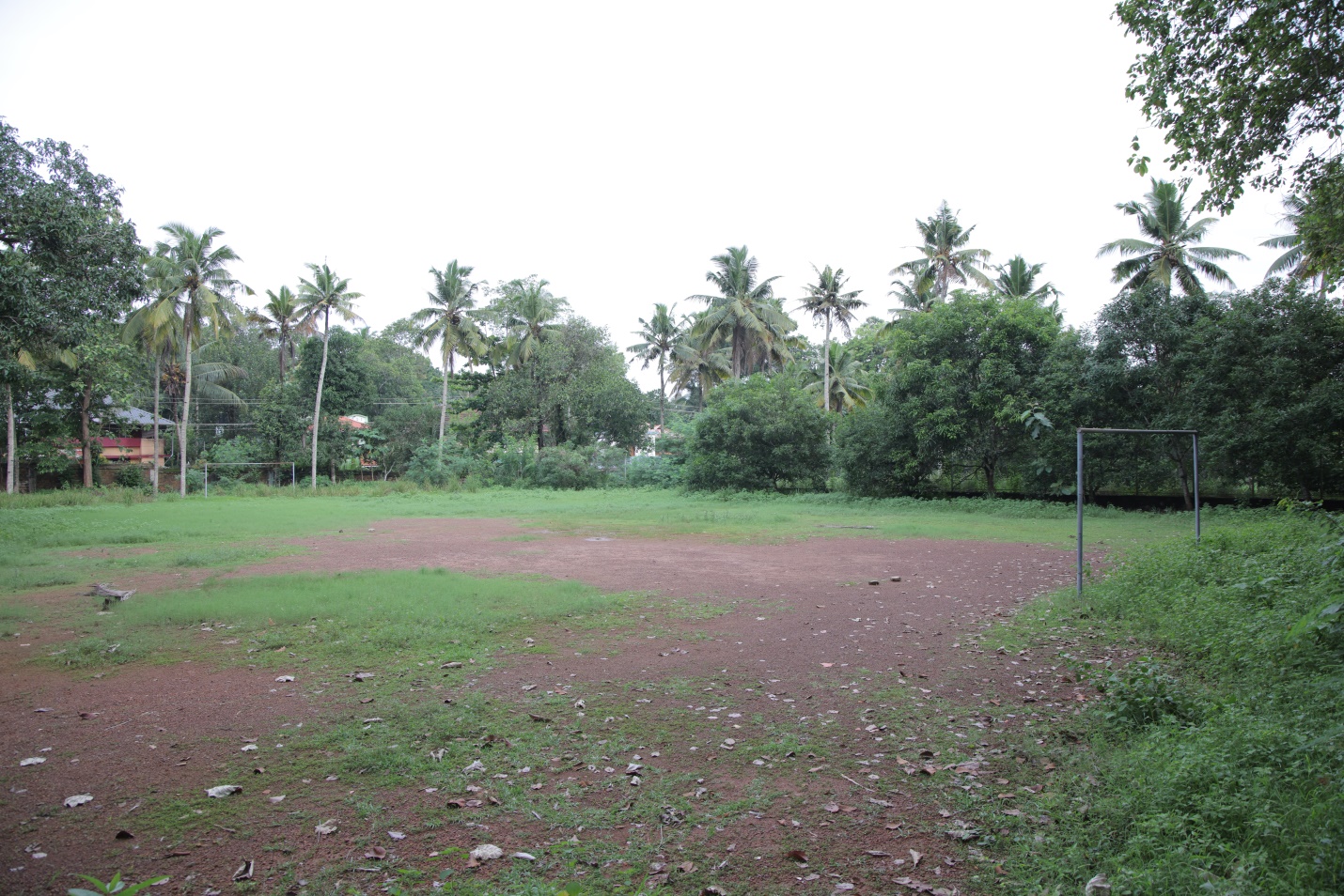 Play ground